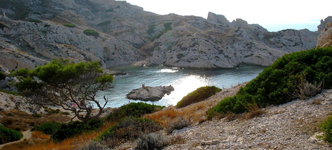 Apartamento Les Pieds Dans L'Eau Sur L'Ile Du Frioul Marsella Exterior foto